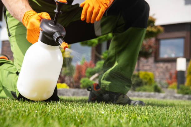 Best Bed Bug Extermination  in Flandreau, SD