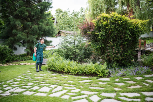 Best Pest Removal Services  in Flandreau, SD