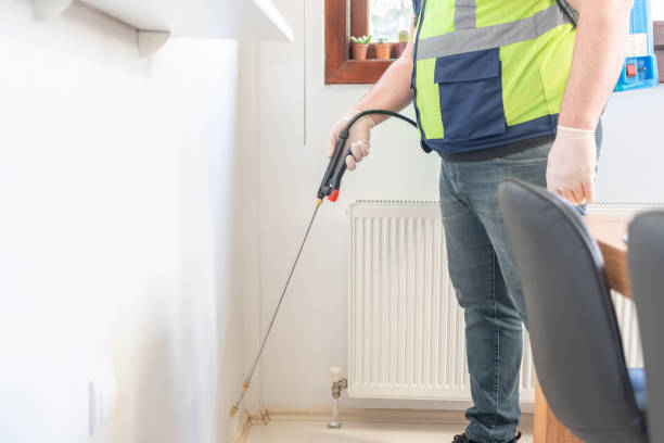 Best Wasp Removal Services  in Flandreau, SD