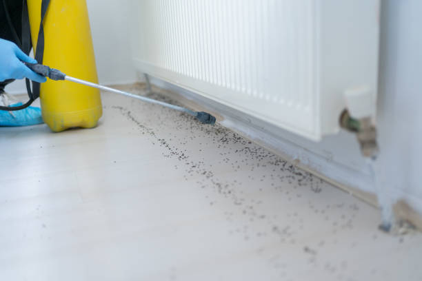 Best Mosquito Control Services  in Flandreau, SD